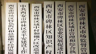 政府實木牌匾//單位門牌/醫(yī)院公司木牌